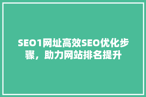 SEO1网址高效SEO优化步骤，助力网站排名提升