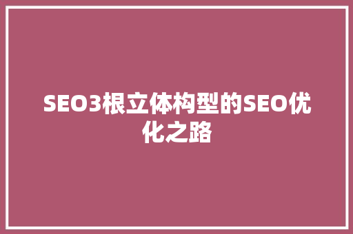 SEO3根立体构型的SEO优化之路