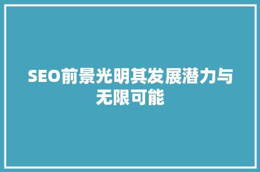 SEO前景光明其发展潜力与无限可能
