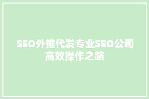 SEO外推代发专业SEO公司高效操作之路