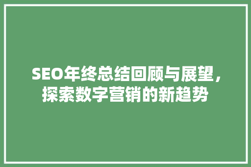 SEO年终总结回顾与展望，探索数字营销的新趋势