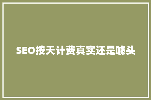 SEO按天计费真实还是噱头