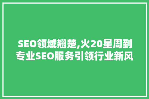 SEO领域翘楚,火20星周到专业SEO服务引领行业新风向