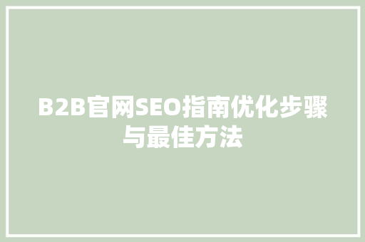 B2B官网SEO指南优化步骤与最佳方法