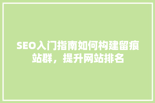 SEO入门指南如何构建留痕站群，提升网站排名  第1张
