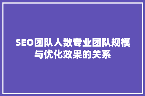 SEO团队人数专业团队规模与优化效果的关系