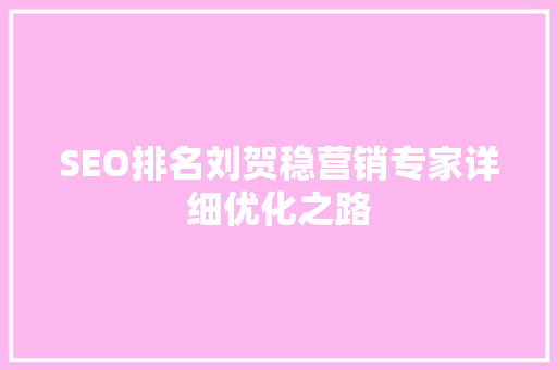 SEO排名刘贺稳营销专家详细优化之路