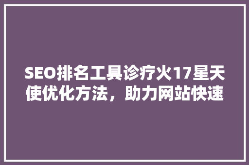 SEO排名工具诊疗火17星天使优化方法，助力网站快速崛起