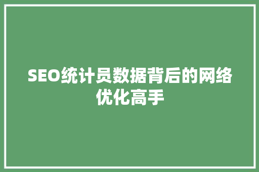 SEO统计员数据背后的网络优化高手