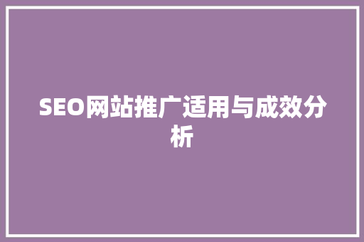 SEO网站推广适用与成效分析