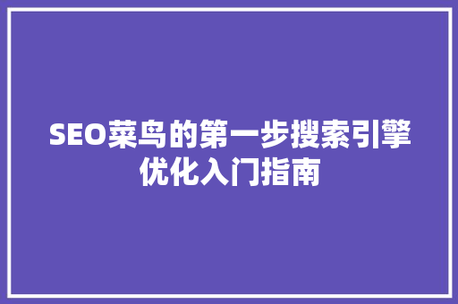 SEO菜鸟的第一步搜索引擎优化入门指南