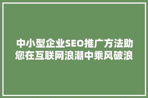中小型企业SEO推广方法助您在互联网浪潮中乘风破浪