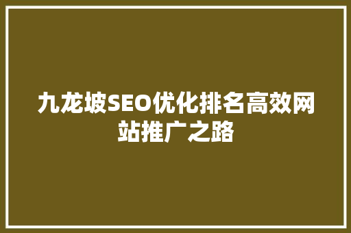 九龙坡SEO优化排名高效网站推广之路  第1张