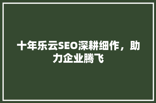 十年乐云SEO深耕细作，助力企业腾飞