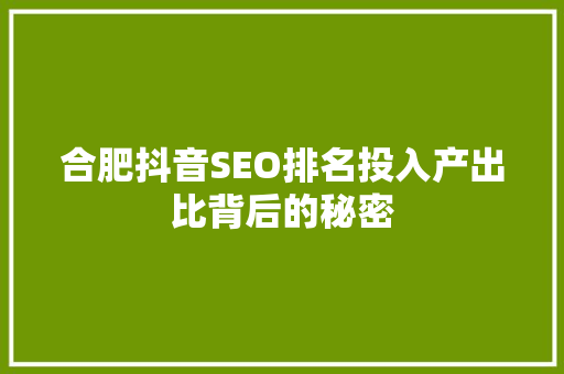 合肥抖音SEO排名投入产出比背后的秘密