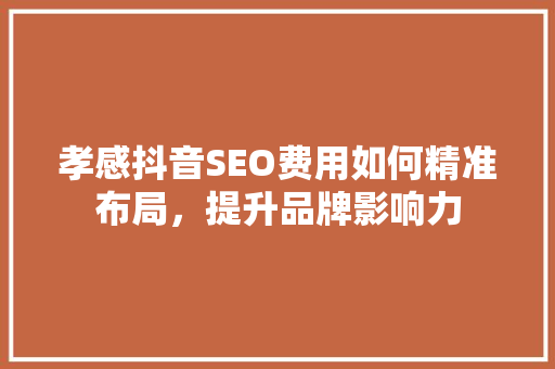 孝感抖音SEO费用如何精准布局，提升品牌影响力