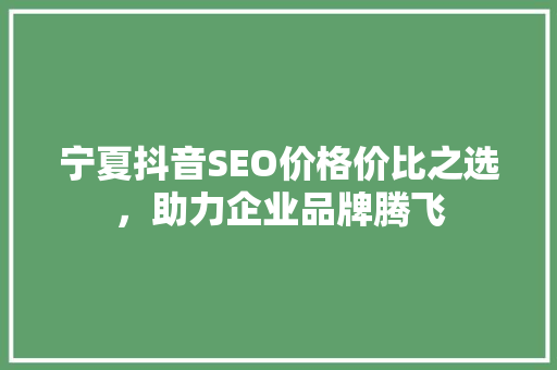 宁夏抖音SEO价格价比之选，助力企业品牌腾飞