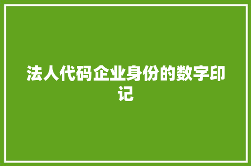 法人代码企业身份的数字印记