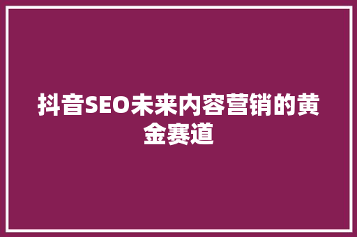 抖音SEO未来内容营销的黄金赛道