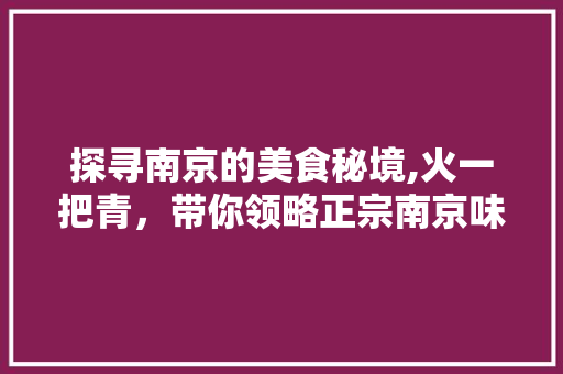 探寻南京的美食秘境,火一把青，带你领略正宗南京味道