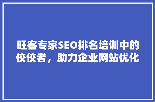 旺客专家SEO排名培训中的佼佼者，助力企业网站优化之路