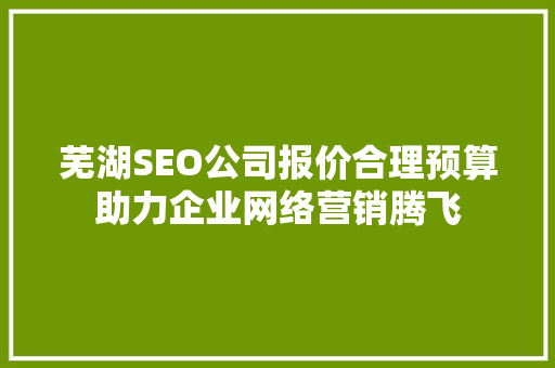 芜湖SEO公司报价合理预算助力企业网络营销腾飞