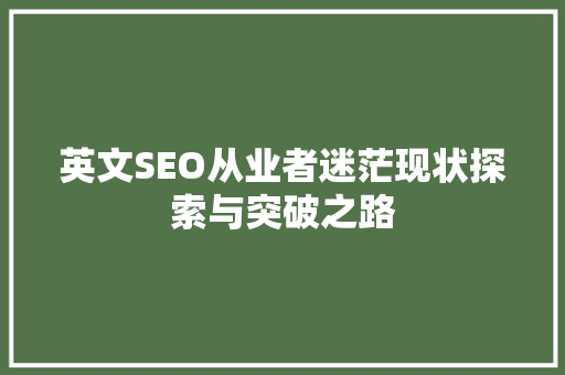 英文SEO从业者迷茫现状探索与突破之路