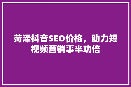 菏泽抖音SEO价格，助力短视频营销事半功倍