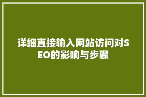 详细直接输入网站访问对SEO的影响与步骤  第1张