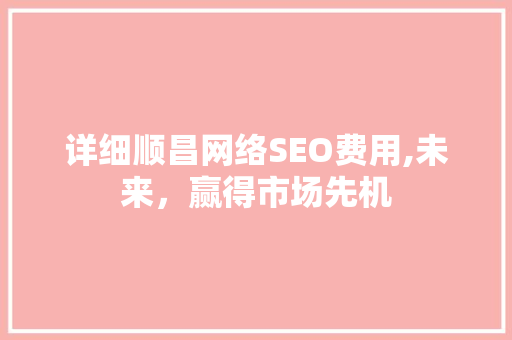 详细顺昌网络SEO费用,未来，赢得市场先机