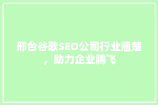 邢台谷歌SEO公司行业翘楚，助力企业腾飞