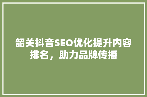 韶关抖音SEO优化提升内容排名，助力品牌传播