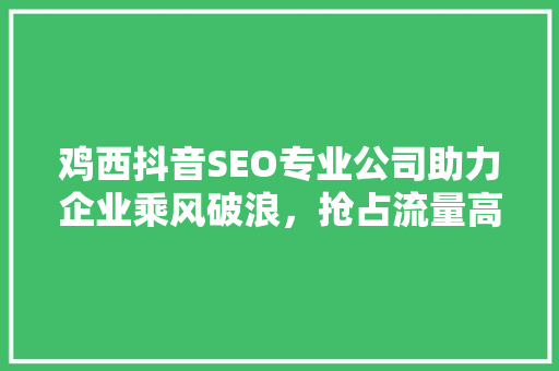 鸡西抖音SEO专业公司助力企业乘风破浪，抢占流量高地  第1张