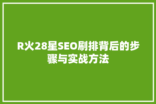 R火28星SEO刷排背后的步骤与实战方法