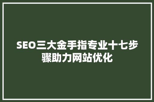 SEO三大金手指专业十七步骤助力网站优化