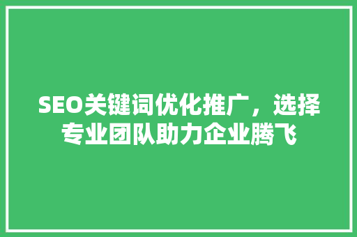 SEO关键词优化推广，选择专业团队助力企业腾飞