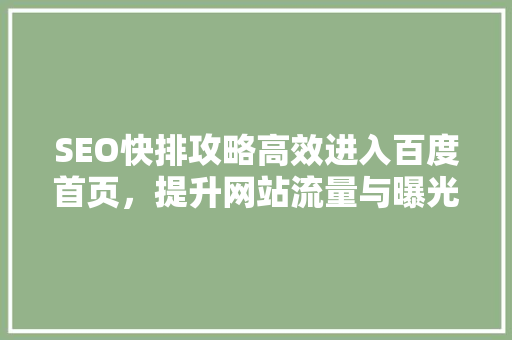 SEO快排攻略高效进入百度首页，提升网站流量与曝光  第1张