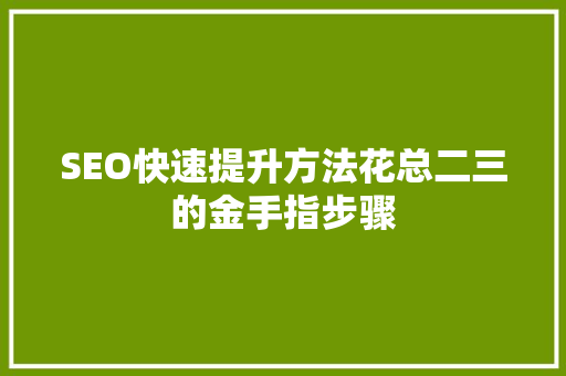 SEO快速提升方法花总二三的金手指步骤