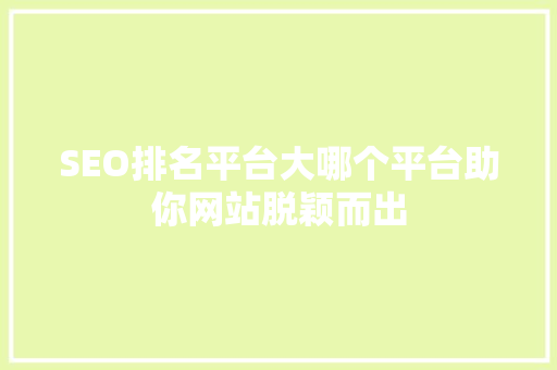 SEO排名平台大哪个平台助你网站脱颖而出