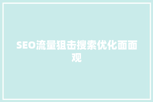 SEO流量狙击搜索优化面面观