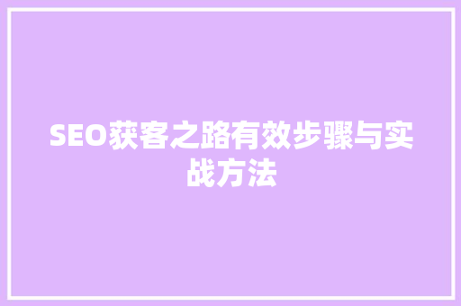 SEO获客之路有效步骤与实战方法  第1张
