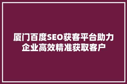 厦门百度SEO获客平台助力企业高效精准获取客户