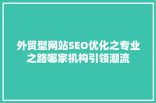 外贸型网站SEO优化之专业之路哪家机构引领潮流