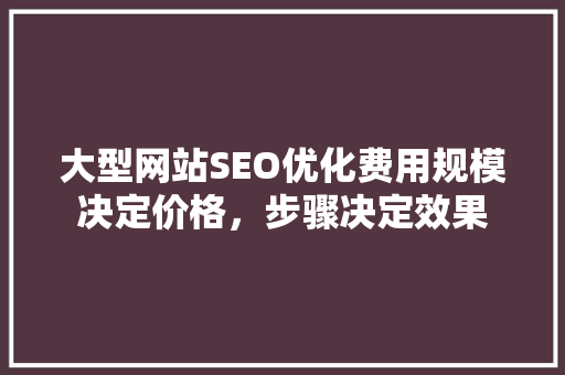 大型网站SEO优化费用规模决定价格，步骤决定效果