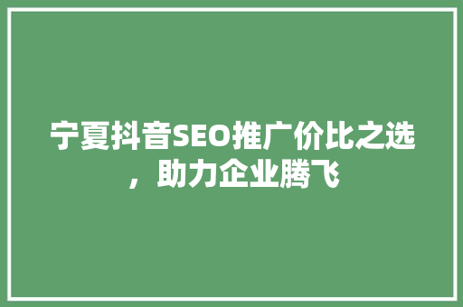 宁夏抖音SEO推广价比之选，助力企业腾飞
