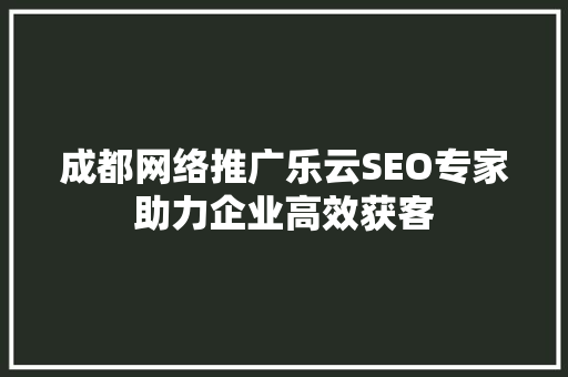 成都网络推广乐云SEO专家助力企业高效获客