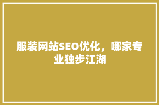 服装网站SEO优化，哪家专业独步江湖