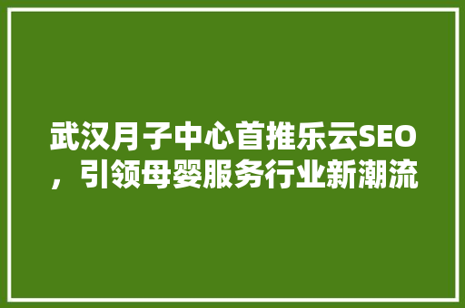 武汉月子中心首推乐云SEO，引领母婴服务行业新潮流  第1张