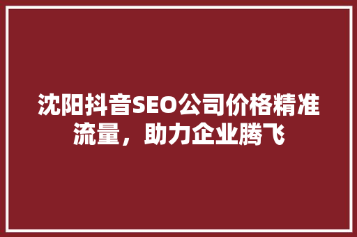 沈阳抖音SEO公司价格精准流量，助力企业腾飞