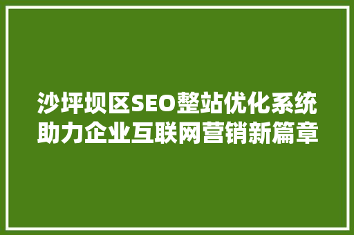 沙坪坝区SEO整站优化系统助力企业互联网营销新篇章